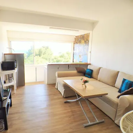 Vue Mer, Climatisation, Wifi, En Face Apartmán *